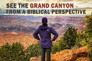 4-Hour Biblical Creation + Sunset Tour • Grand Canyon National Park South Rim - Starting at the Visitor Center flagpole: the logistics that make it smooth