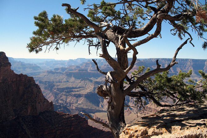 Comprehensive Grand Canyon Tour from Flagstaff - Key things I’d circle before you go