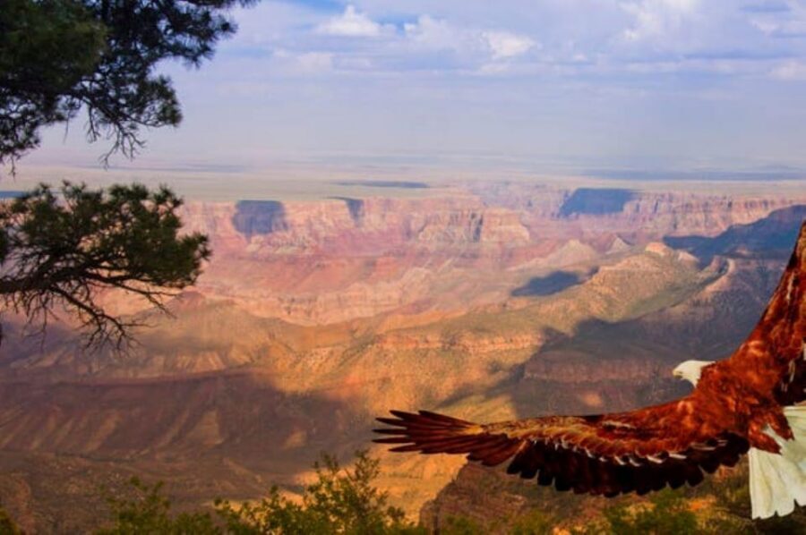 Grand Canyon West: 1-Day Entrance Ticket - What the $71 Ticket Covers at Grand Canyon West