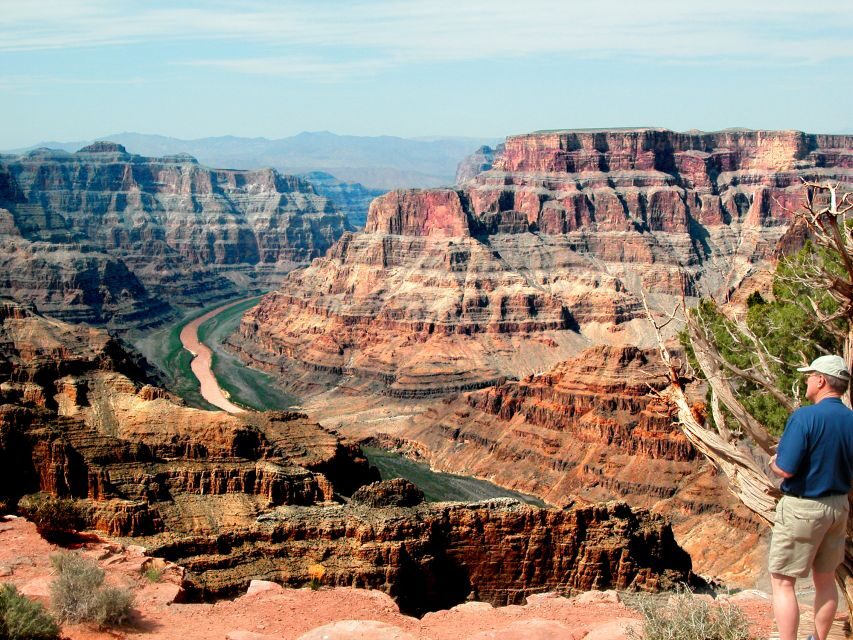 Grand Canyon West 5-in-1 Tour with Rim Lunch From Las Vegas - Joshua tree forest: the scenic curve you didn’t expect