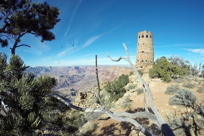 Private Grand Canyon Sightseeing Tour from Williams Tusayan GCV - What to bring and how to get better photos