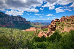Small-Group or Private Grand Canyon with Sedona Tour from Phoenix - The morning drive: saguaro desert to ponderosa pine near Flagstaff